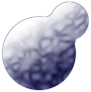 An egg I dreamed of.